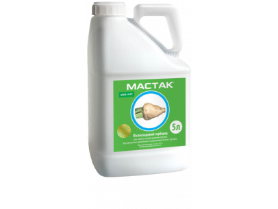 Мастак Мастак