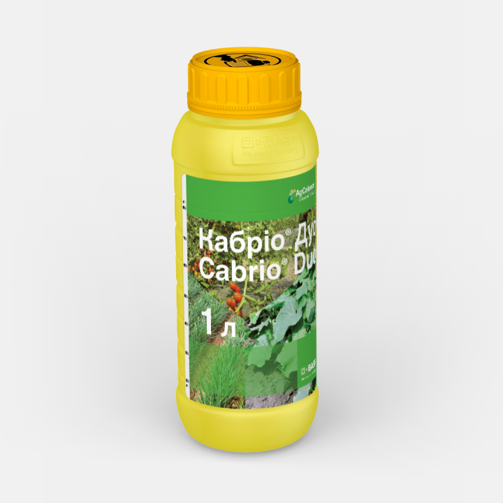 Кабріо Дуо