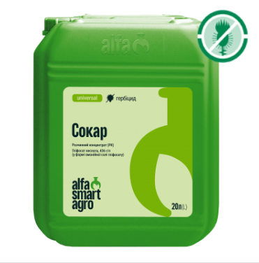 Сокар